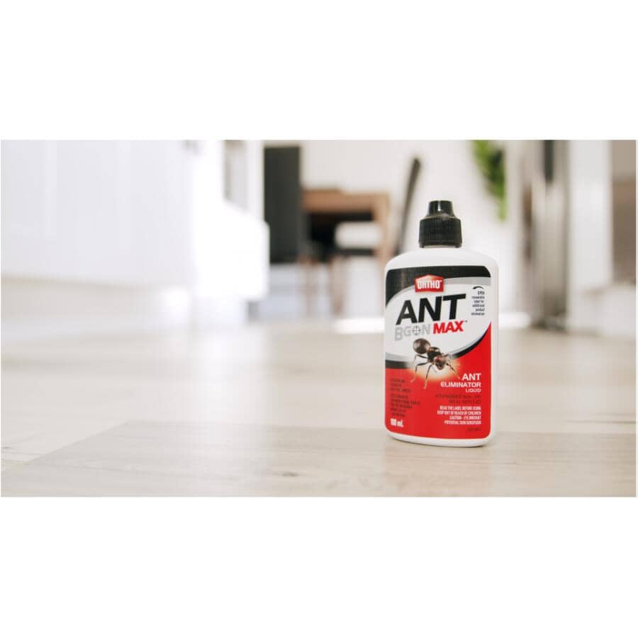 Ant B Gon MAX Ant Eliminator Liquid - 100mL
