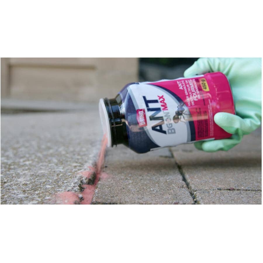 Ant B Gon MAX Ant Killer Granules - 450 g