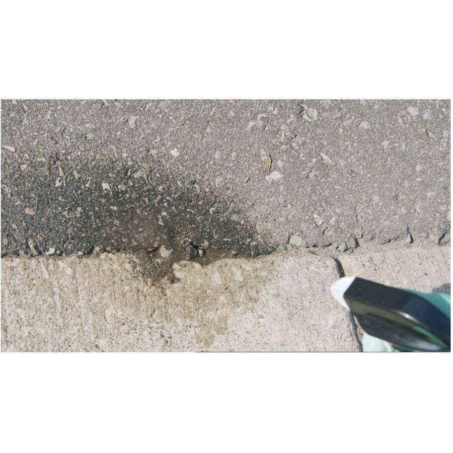 Ant B Gon MAX Ant Killer Granules - 450 g