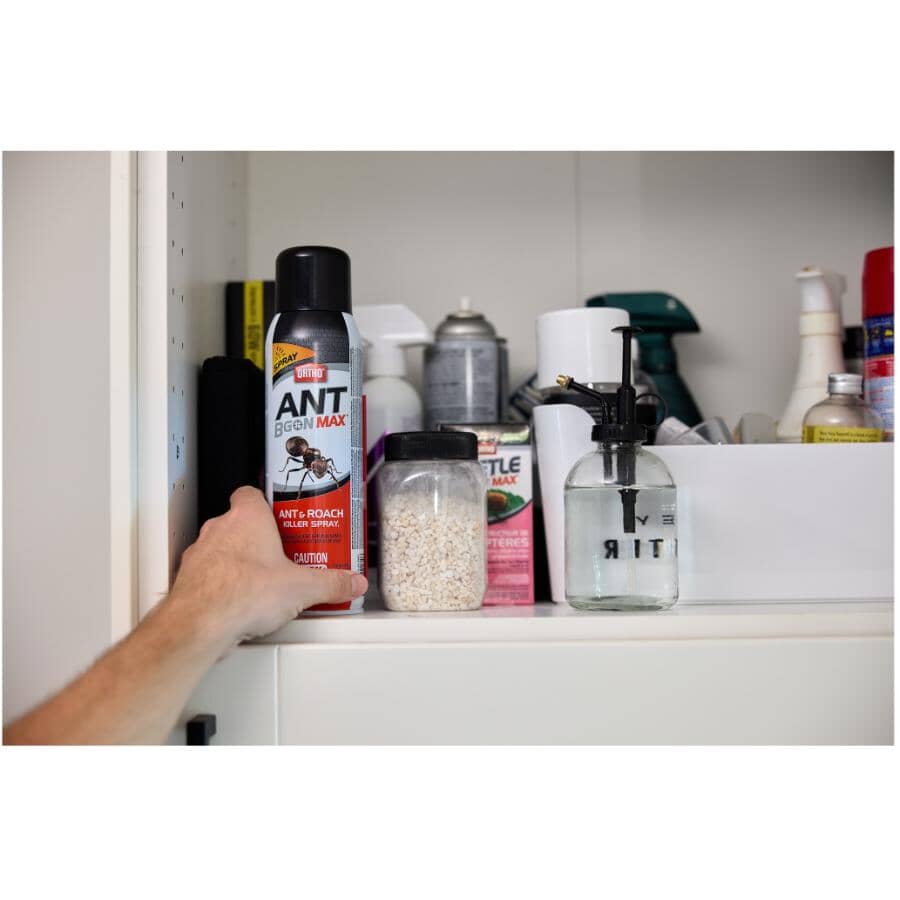 Ant B Gon MAX Ant & Roach Killer Spray - 400g