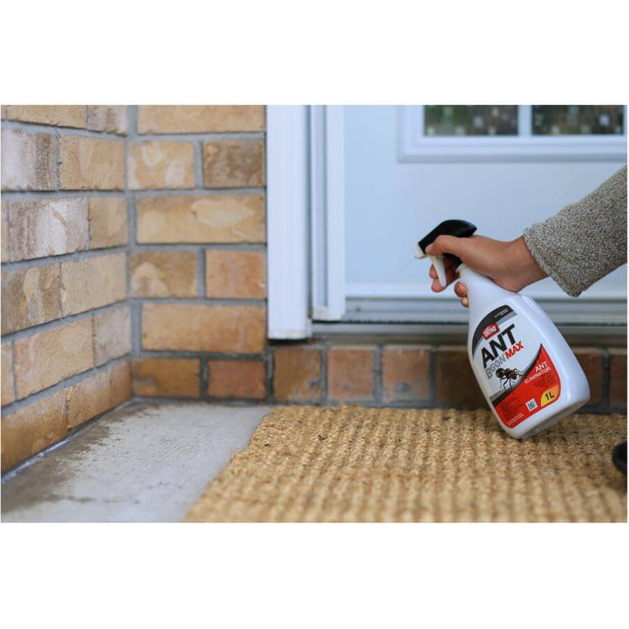 Ant B Gon Max - Ready To Use, 1 L