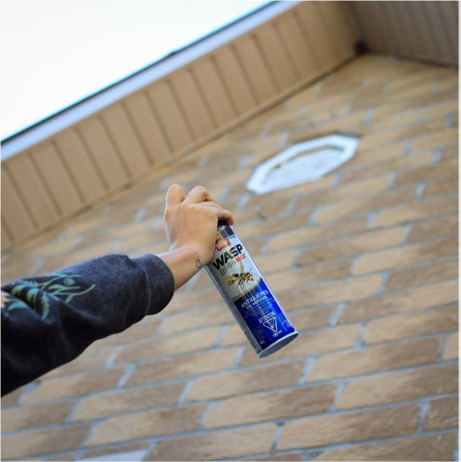 Wasp B Gon MAX Killer Spray - 400g