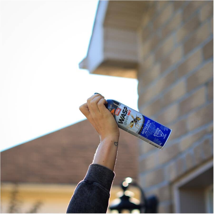 Wasp B Gon MAX Killer Spray - 400g
