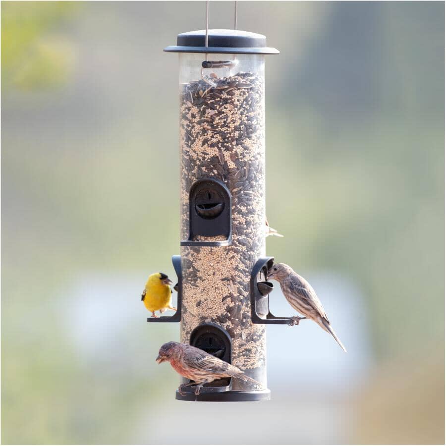 2-In-1 Swivel Tube Bird Feeder - Black, 4 lb Capacity