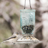 Mason Jar Glass Bird Feeder - Blue, 1 lb Capacity