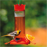 Oriole Glass Bird Feeder - with Bee Guards, 30 oz