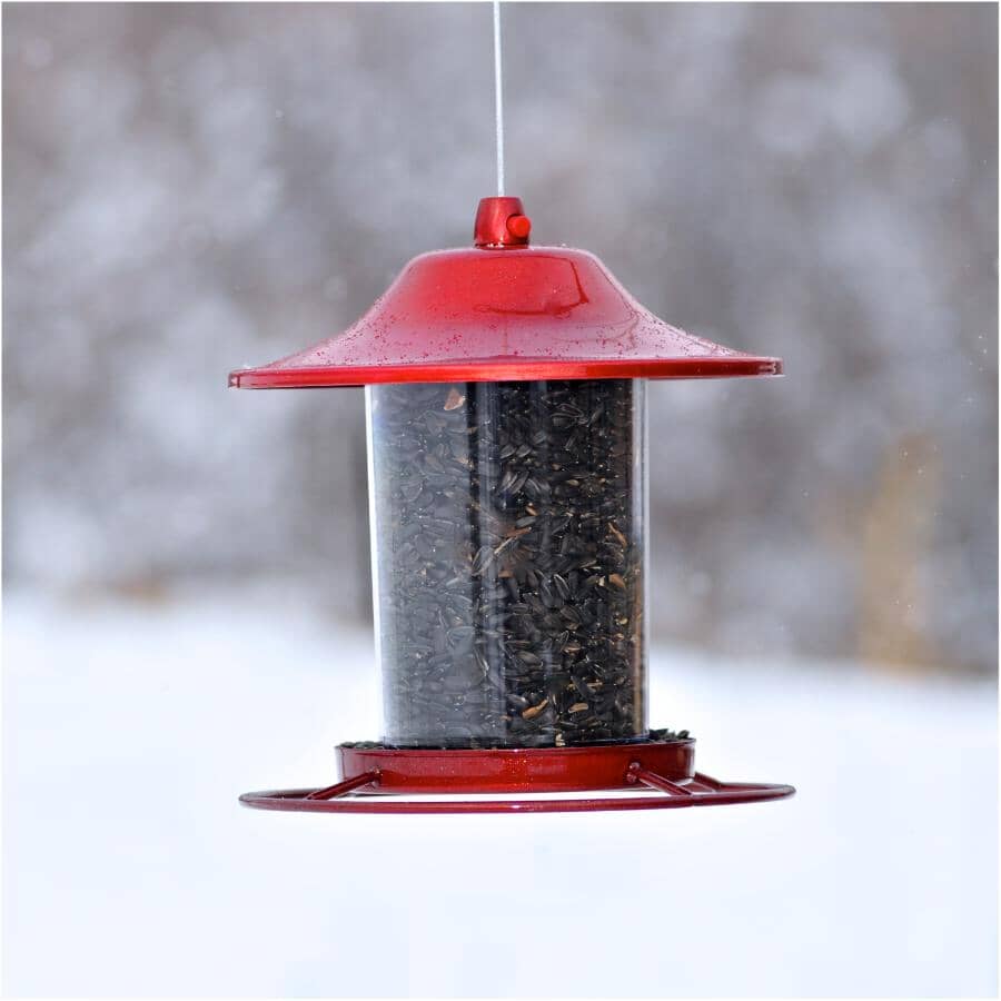 Panorama Hanging Bird Feeder - Red Sparkle, 2 lb Capacity
