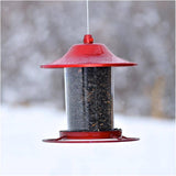 Panorama Hanging Bird Feeder - Red Sparkle, 2 lb Capacity