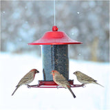 Panorama Hanging Bird Feeder - Red Sparkle, 2 lb Capacity