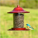 Panorama Hanging Bird Feeder - Red Sparkle, 2 lb Capacity