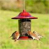 Panorama Hanging Bird Feeder - Red Sparkle, 2 lb Capacity
