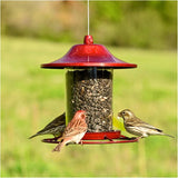 Panorama Hanging Bird Feeder - Red Sparkle, 2 lb Capacity