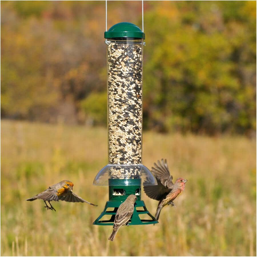 Squirrel Slammer Bird Feeder - 3.5 lb Capacity