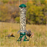 Squirrel Slammer Bird Feeder - 3.5 lb Capacity
