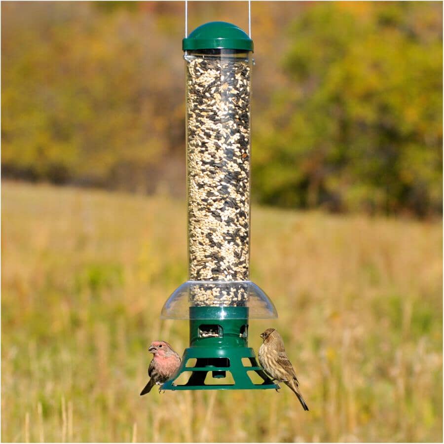 Squirrel Slammer Bird Feeder - 3.5 lb Capacity