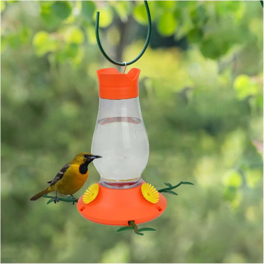 Vine Plastic Oriole Bird Feeder - 27 oz