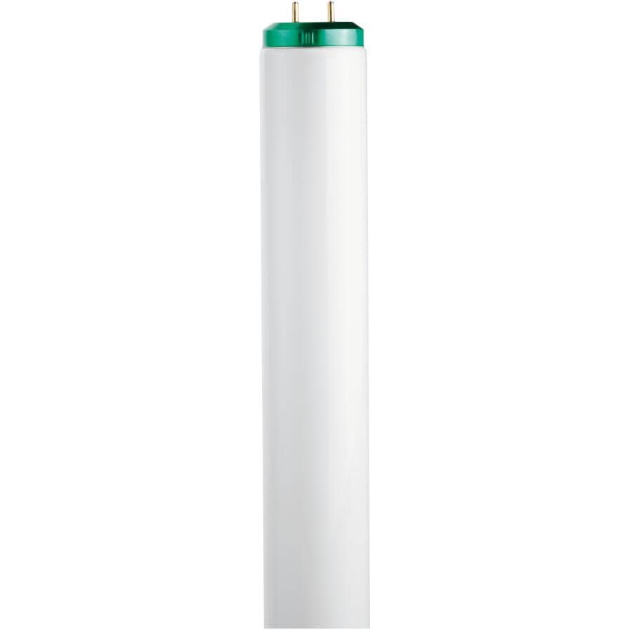20W T12 Bi-Pin Bright White Fluorescent Light Bulb - 24"