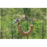 Coil Wreath Peanut Bird Feeder - Black