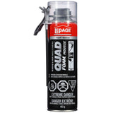 Window & Door 2-in-1 Foam Sealant - 453 g