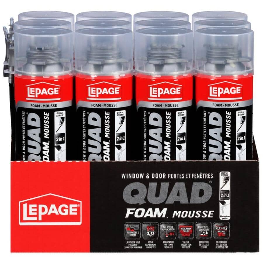 Window & Door 2-in-1 Foam Sealant - 453 g