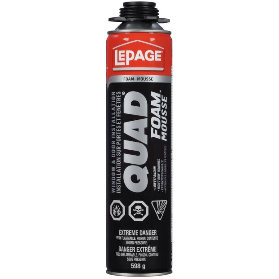 Window & Door Foam Sealant - 598 g