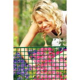 36" x 25' Green High Density Polyethylene Garden Fence