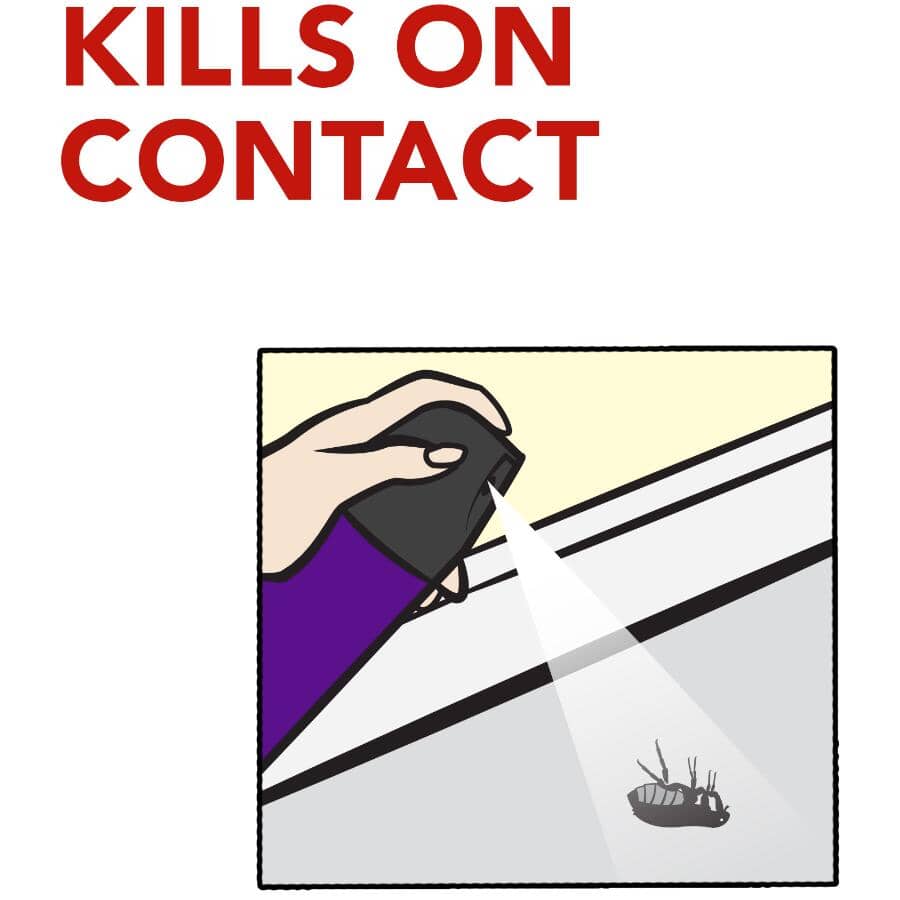 Flying Insect Insecticide Spray - 500 g