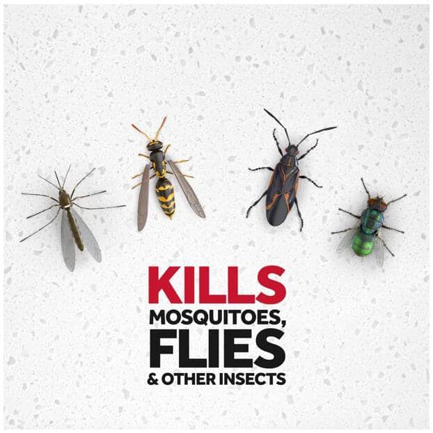 Flying Insect Insecticide Spray - 500 g