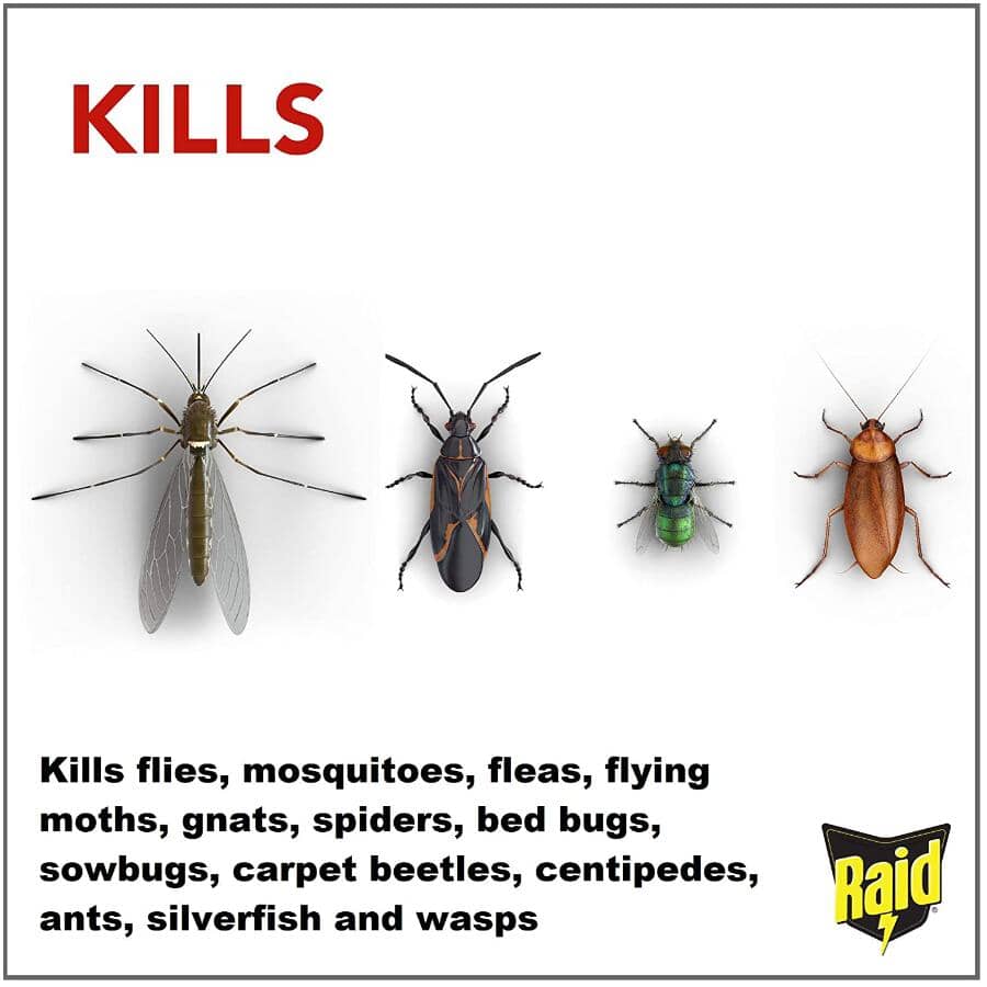 Home Insect Killer Spray - 350 g