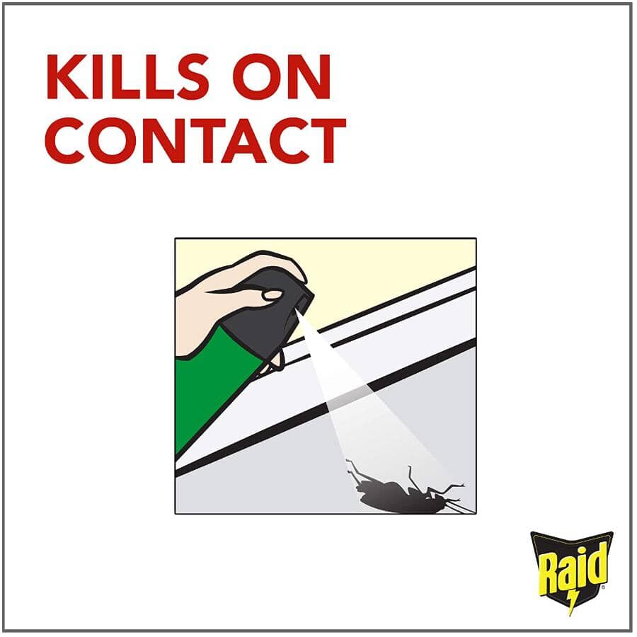 Home Insect Killer Spray - 350 g