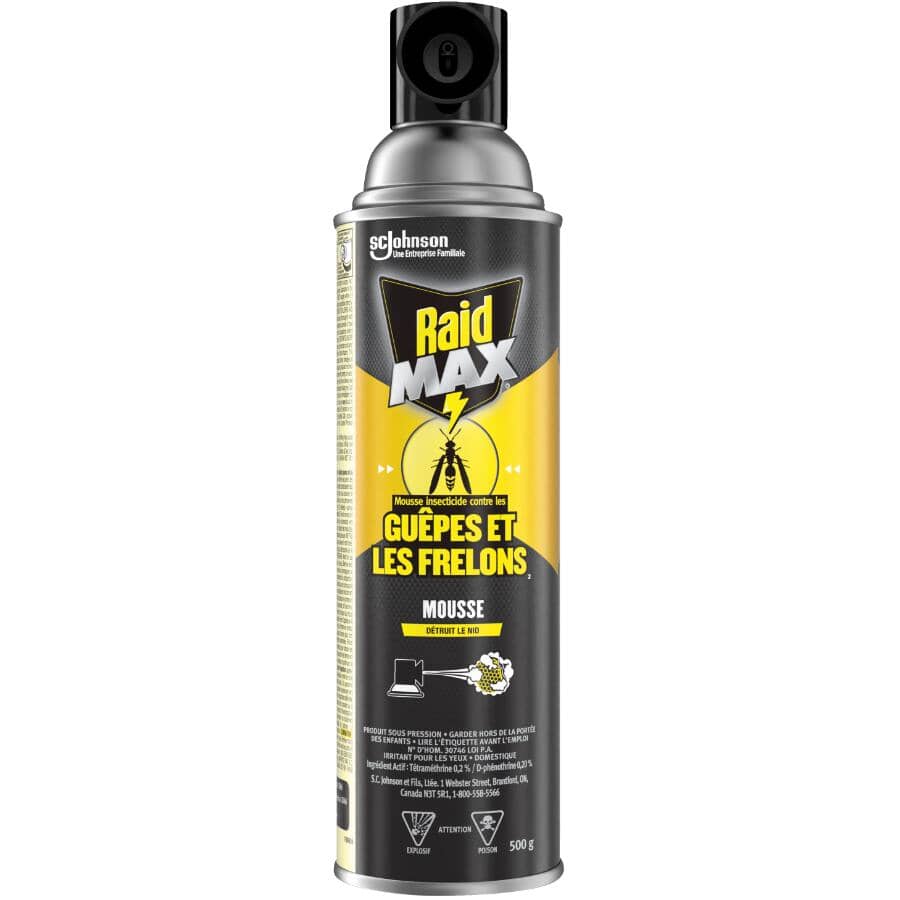 Wasp and Hornet Killer Spray - 500 g
