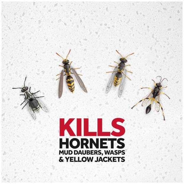 Wasp and Hornet Killer Spray - 500 g
