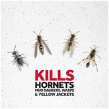 Wasp and Hornet Killer Spray - 500 g