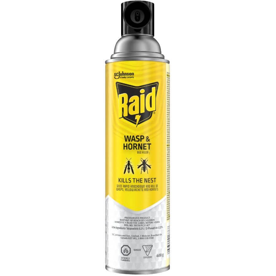 Wasp & Hornet Bug Killer Spray - 400 g