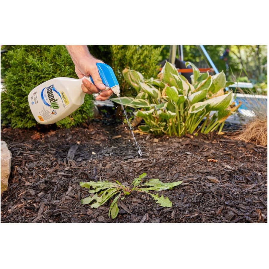 Non-Selective Herbicide - with FastAct Foam + Ready-To-Use, 1 L