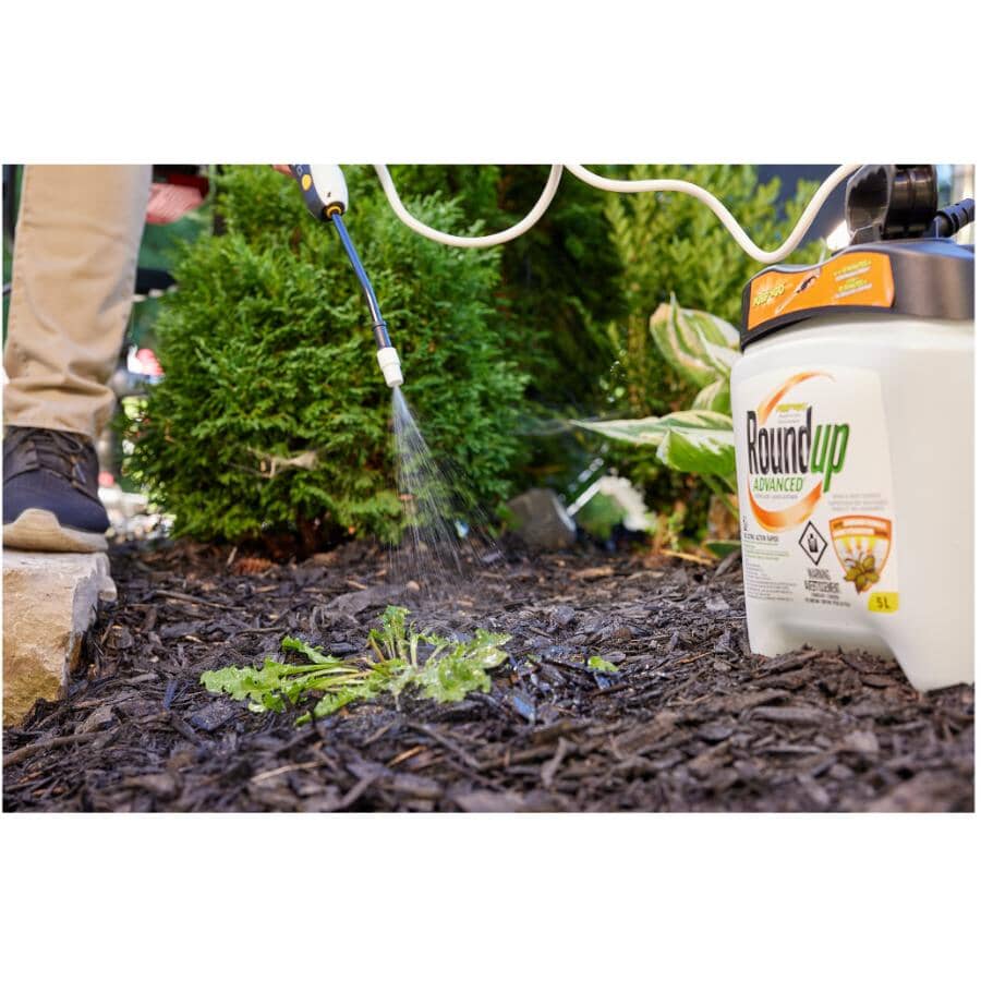 Pump 'N Go Advanced Weed Control - Ready-to-Use, 5 L
