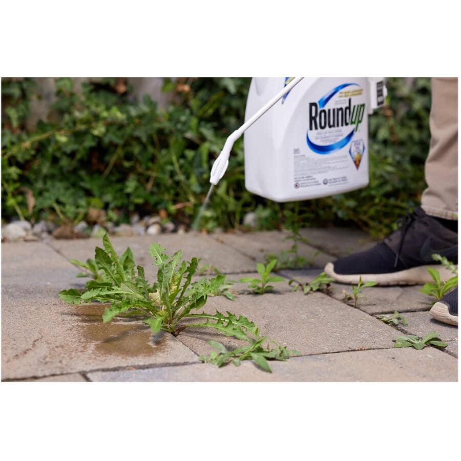 Ready-To-Use Grass & Weed Control Refill - 4 L