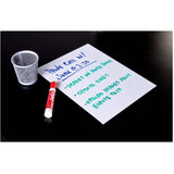Dry Erase Writable-Erasable Finish Paint Kit - White, 473 ml