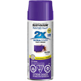 Painter's Touch 2X Ultra Cover Spray Paint - Gloss Grape, 340 g