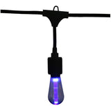 S10 Drop Socket Light Set with Black Wire - Multi-Colour, 10 Lights