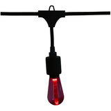 S10 Drop Socket Light Set with Black Wire - Multi-Colour, 10 Lights