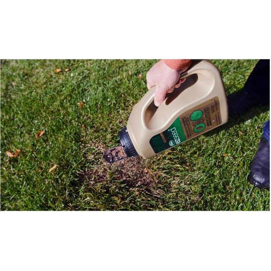3-in-1 EZ Seed Grass Patch & Repair - 1.7 kg