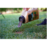 3-in-1 EZ Seed Grass Patch & Repair - 1.7 kg