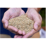 Turf Builder All Purpose Grass Seed - 5 kg