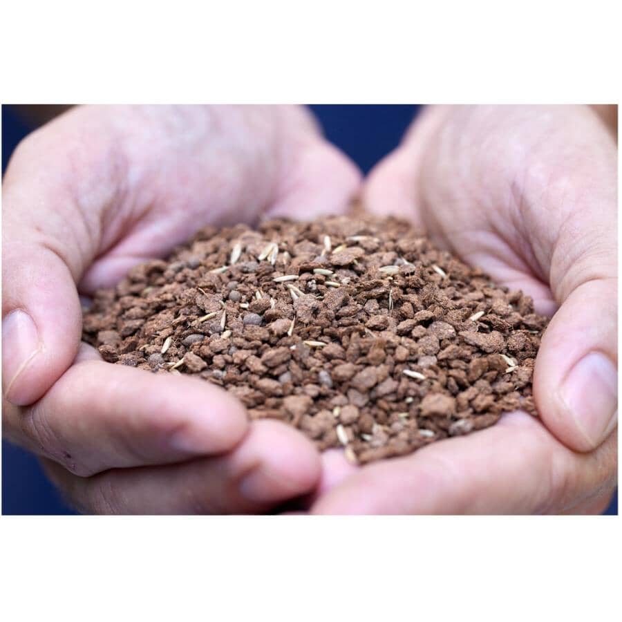 EZ Seed Dog Spot Repair - 907 g