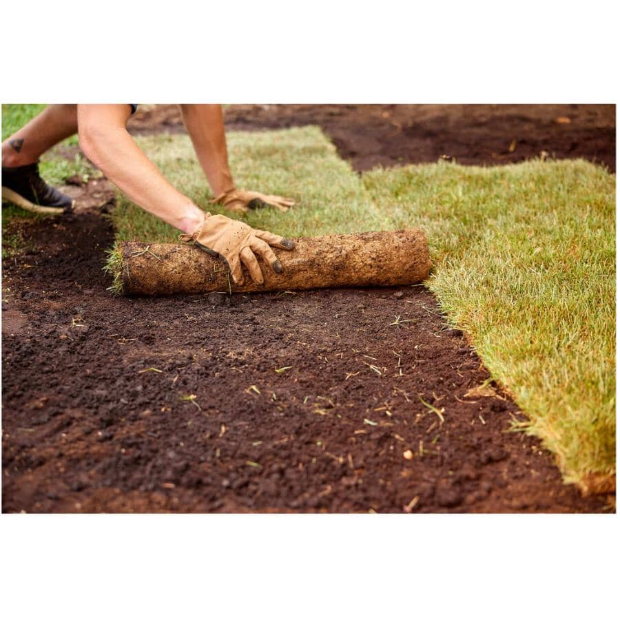 Turf Builder New Grass Starter Fertilizer - Covers 320 sq. m. + 24-25-4