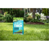 Turf Builder Quick + Thick Low Maintenance Grass Seed Mix - 1.2 kg