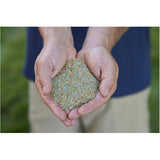 Turf Builder Quick + Thick Low Maintenance Grass Seed Mix - 1.2 kg