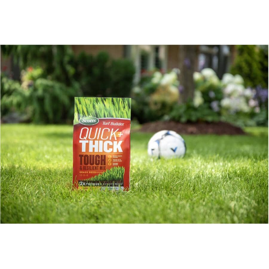 Turf Builder Quick + Thick Tough & Resilient Grass Seed Mix  - 1.2 kg