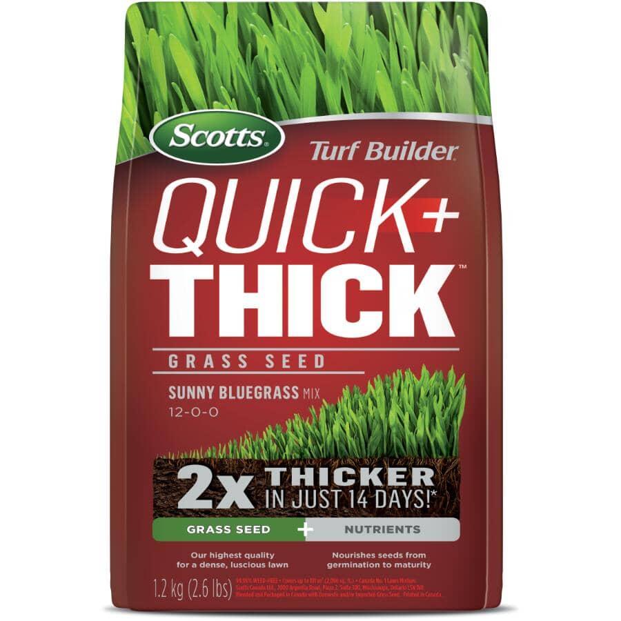 Turf Builder Quick+Thick Grass Seed - Sunny Bluegrass Mix, 1.2 kg